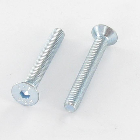 1 x Metalen schroeven FHC verzonken kop met zeskant print M8X20 volledige draad klasse 10.9 sleutel van 5 Wit verzinkt