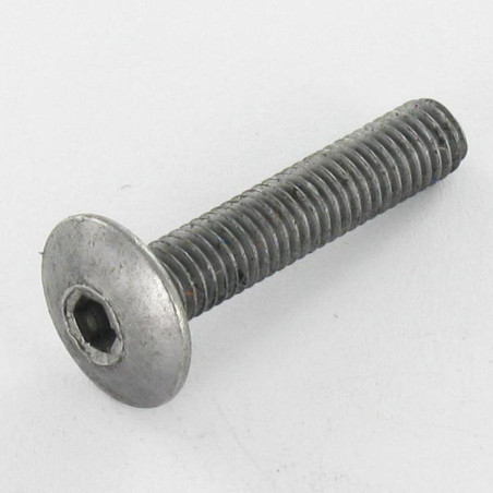 1 x Schroeven Bolkop breed rond M6X75 sleutel van 4 Ruw staal