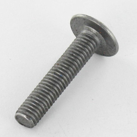 1 x Schroeven Bolkop breed rond M6X75 sleutel van 4 Ruw staal