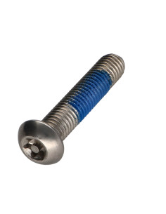 Metalen schroeven RVS A2 Onbreekbaar bolkop TORX T40 met...