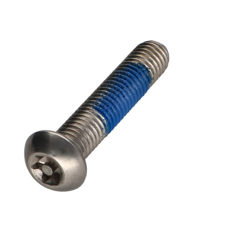 1 x Metalen schroeven RVS A2 Onbreekbaar bolkop TORX T40 met pen M8X40 Remdraad