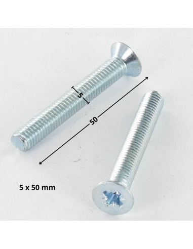 1 x Metalen schroeven gefreesde kop Pozi PZ7...