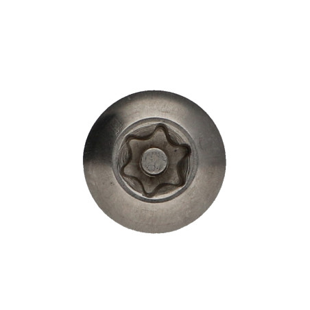 1 x Metalen schroeven RVS A2 Onbreekbaar bolkop TORX T40 met pen M8X40 Remdraad