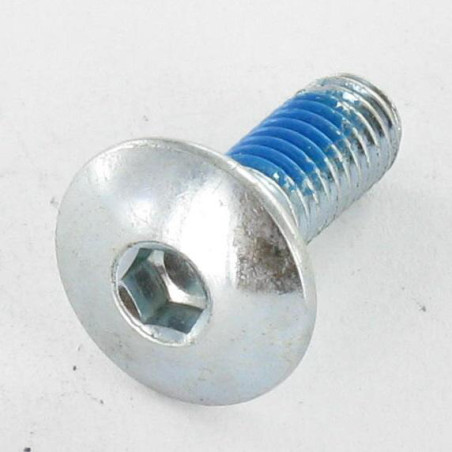 1 x Schroeven Bolkop breed rond M6X16 sleutel van 4 Wit verzinkt staal Remdraad