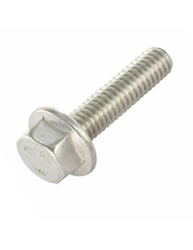 1 x Metalen schroeven zeskantkop TH basis met...