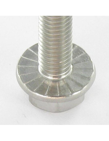 1 x Metalen schroeven zeskantkop TH basis met...