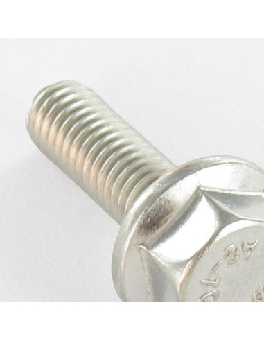 1 x Metalen schroeven zeskantkop TH basis met...
