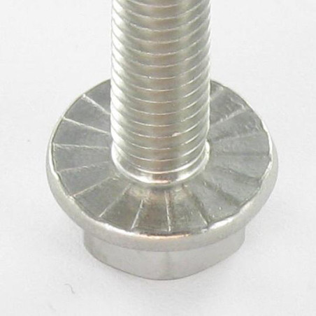 1 x Metalen schroeven zeskantkop TH basis met kartelflens M5X30 A4 RVS