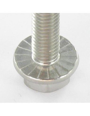 1 x Metalen schroeven zeskantkop TH basis met...