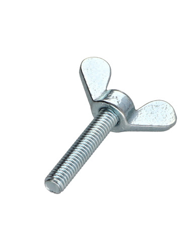 1 x Schroeven oren M6X16 Wit verzinkt staal