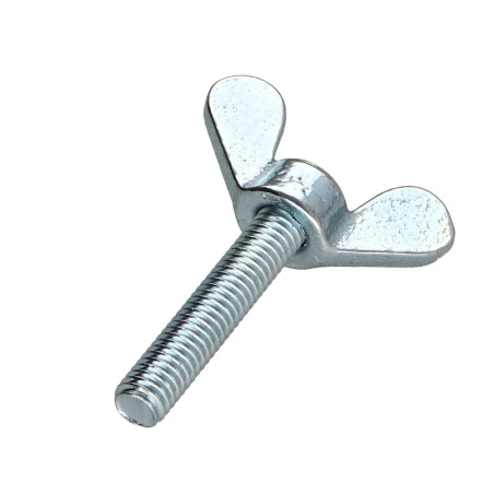 1 x Schroeven oren M6X16 Wit verzinkt staal