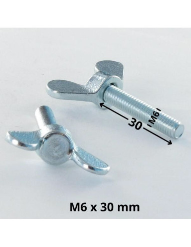 1 x Schroeven oren M6X30 Wit verzinkt staal