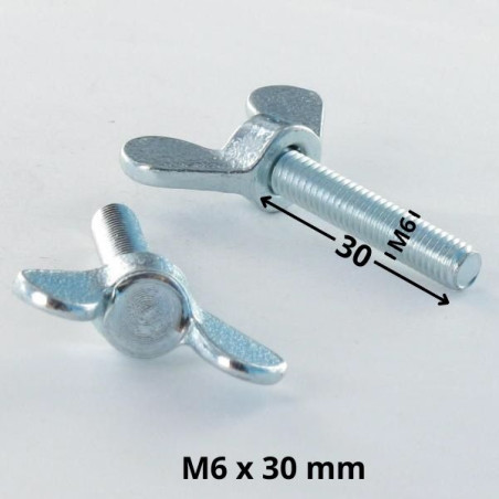 1 x Schroeven oren M6X30 Wit verzinkt staal