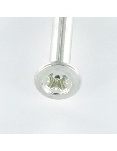 1 x Plug gefreesde kop met nagel RVS 6X60