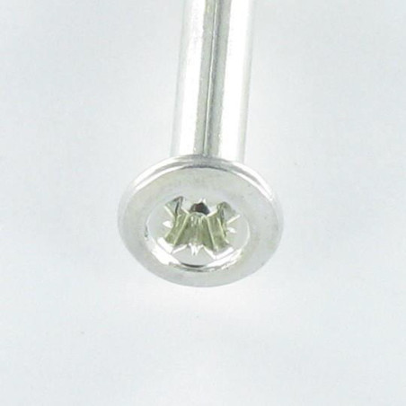 1 x Plug gefreesde kop met nagel RVS 6X60