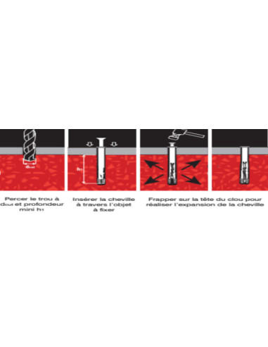 1 x Plug gefreesde kop met nagel RVS 6X60