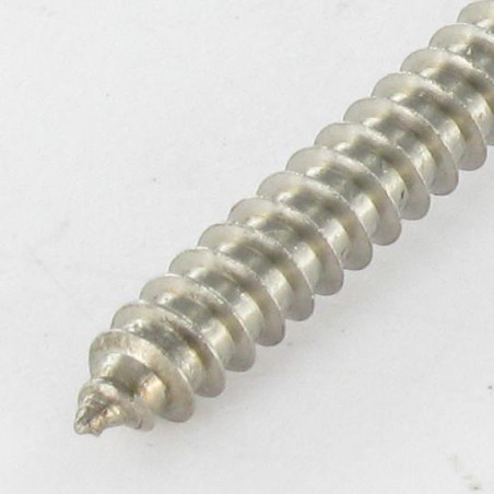 1 x Metaalplaatschroef gefreesde kop TORX T20 4.8X60 RVS A2