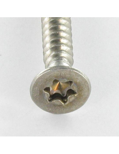 1 x Metaalplaatschroef gefreesde kop TORX T25...
