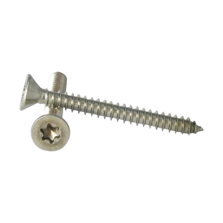 1 x Metaalplaatschroef gefreesde kop 2.9X13 RVS A2 TORX T8