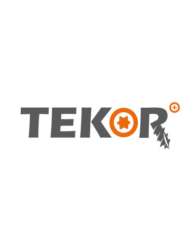 1 x TEKOR houtschroeven schijfkop TORX T40...