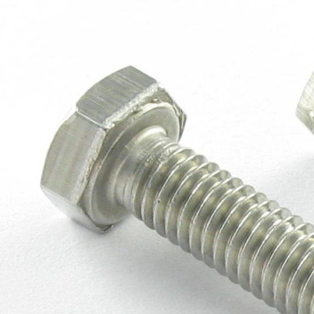 1 x Metalen schroeven zeskantkop TH M22X50 A4 RVS