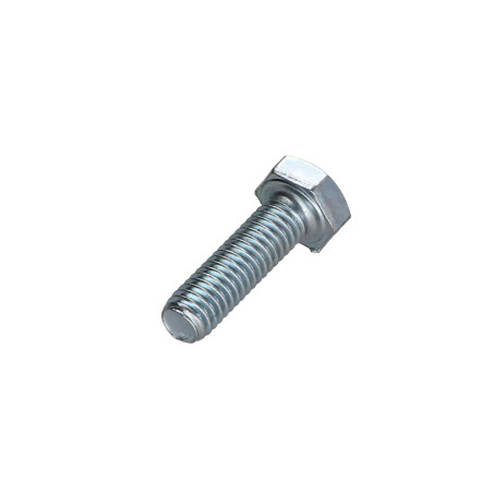 1 x Metalen schroeven zeskantkop TH M6X20 Klasse 6.8 Wit verzinkt staal