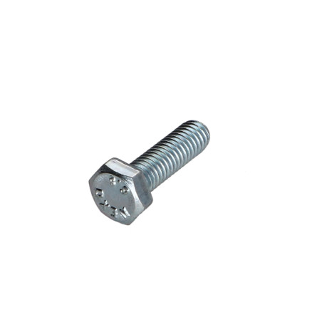 1 x Metalen schroeven zeskantkop TH M6X20 Klasse 6.8 Wit verzinkt staal