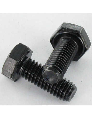 1 x Metalen schroeven zeskantkop TH M8X25...
