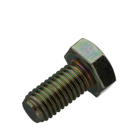 1 x Metalen schroeven zeskantkop TH M8X10 Klasse 6.8 Bichromaat