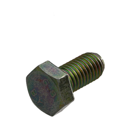 1 x Metalen schroeven zeskantkop TH M5X10 Klasse 6.8 Bichromaat