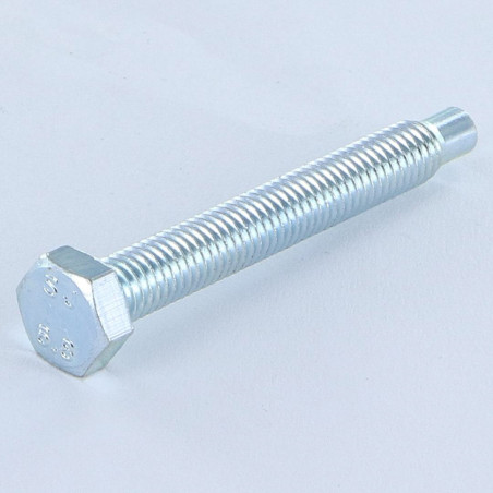 1 x Metalen schroeven zeskantkop TH M5X38.5 tepel uiteinde tepel lange Wit verzinkt staal klasse 6.8
