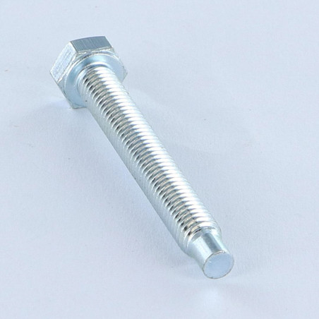 1 x Metalen schroeven zeskantkop TH M5X38.5 tepel uiteinde tepel lange Wit verzinkt staal klasse 6.8