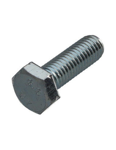 1 x Metalen schroeven zeskantkop TH M10X50...