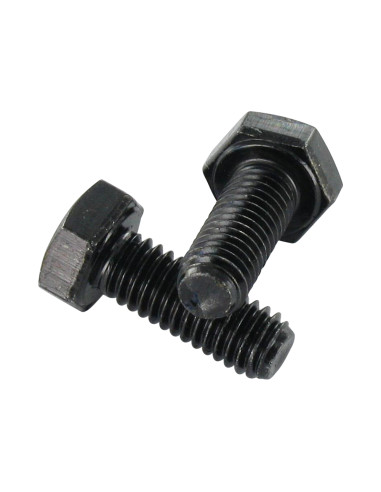 1 x Metalen schroeven zeskantkop TH M8X60...