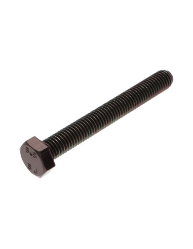 1 x Metalen schroeven zeskantkop TH M8X80...