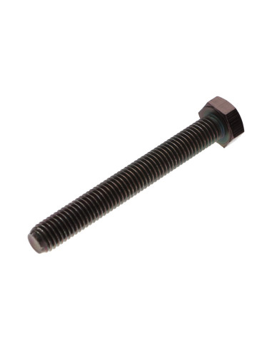 1 x Metalen schroeven zeskantkop TH M8X80...