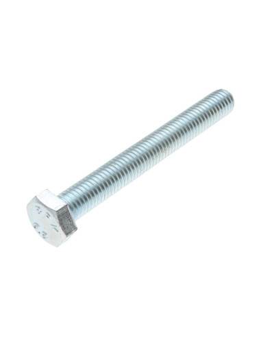 1 x Metalen schroeven zeskantkop TH M20X80...