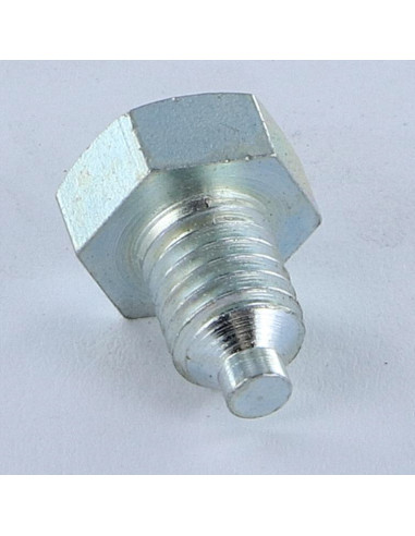1 x Metalen schroeven zeskantkop TH M8X12 tepel...