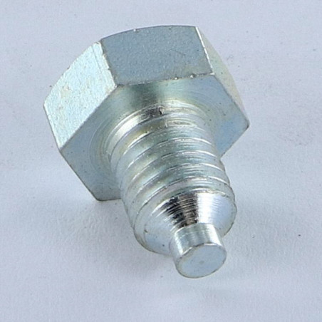 1 x Metalen schroeven zeskantkop TH M8X12 tepel uiteinde tepel Wit verzinkt staal