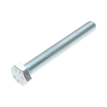1 x Metalen schroeven zeskantkop TH M14X70 Klasse 6.8 Wit verzinkt staal