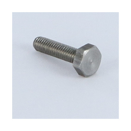 1 x Metalen schroeven zeskantkop TH M3X4 Klasse 6.8 Ruw staal microschroeven