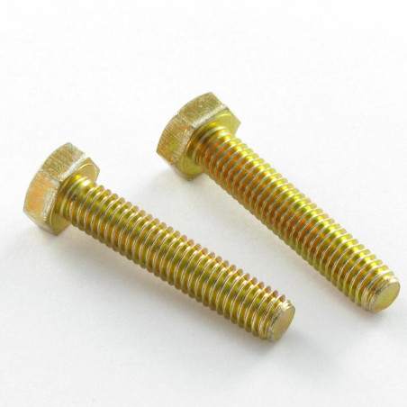 1 x Metalen schroeven zeskantkop TH M12X40 Klasse 6.8 Bichromaat