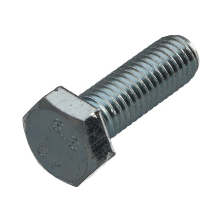 1 x Metalen schroeven zeskantkop TH M5X60 Klasse 6.8 Wit verzinkt staal