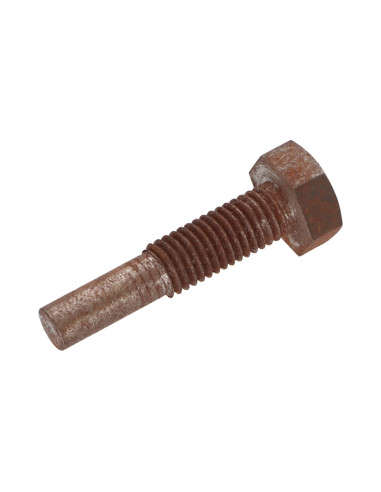 1 x Metalen schroeven zeskantkop TH M10X45...
