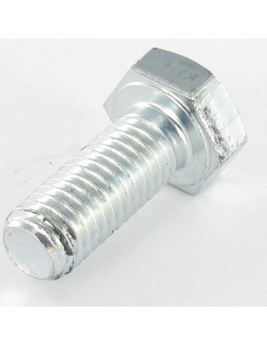 1 x Metalen schroeven zeskantkop TH M10X120...