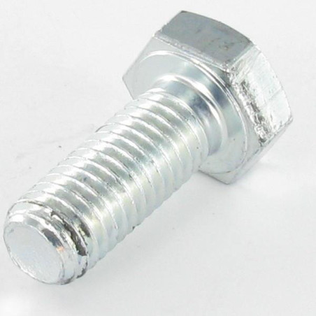 1 x Metalen schroeven zeskantkop TH M10X120 Klasse 6.8 Wit verzinkt staal