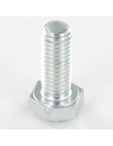 1 x Metalen schroeven zeskantkop TH M10X120...