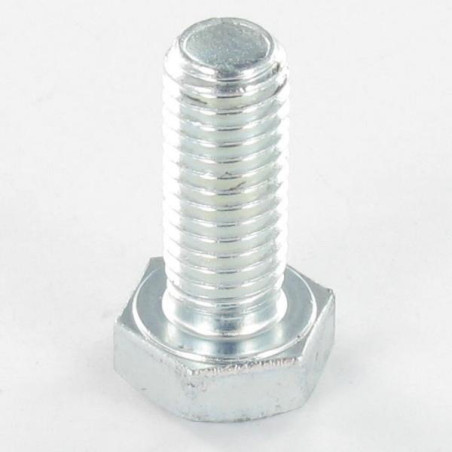 1 x Metalen schroeven zeskantkop TH M10X120 Klasse 6.8 Wit verzinkt staal