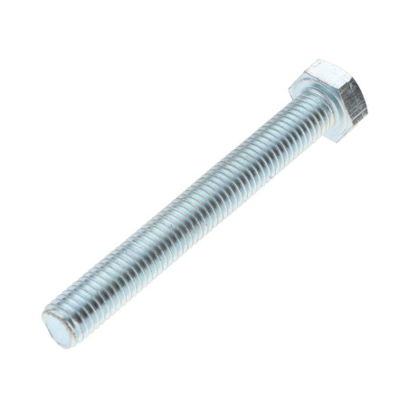 1 x Metalen schroeven zeskantkop TH M6X80 Klasse 6.8 Wit verzinkt staal