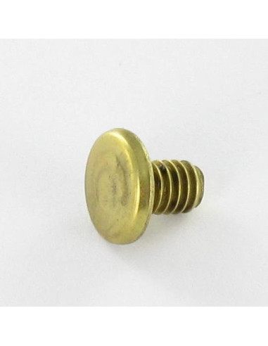 1 x LUIK Messing platte kop 4.3X6 TORX T9 EP1.5